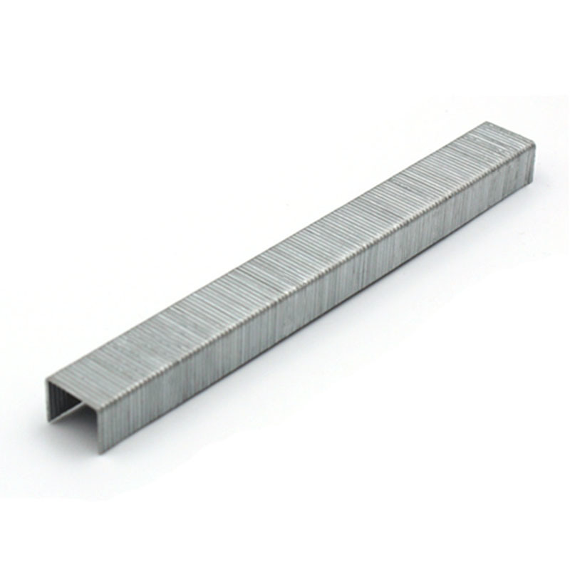 21 Gauge Staple 1/2 Crown 80series 12mm Furniture Decoration