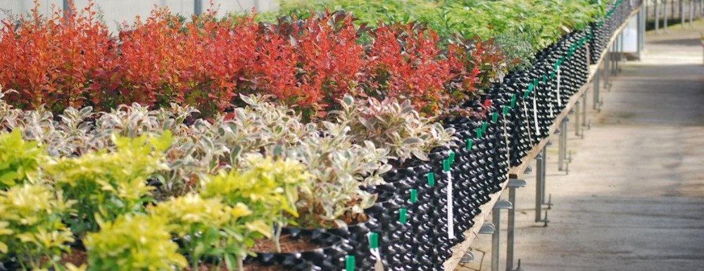 Root Pruning Disposable 15 Gallon 20cm Height With Base