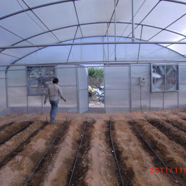150micron Metal Frame Greenhouse Plastic Film Covering For Desert Rose