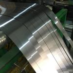 Cold Rolled Or Hot Rolled 300mm Duplex Stainless Strip