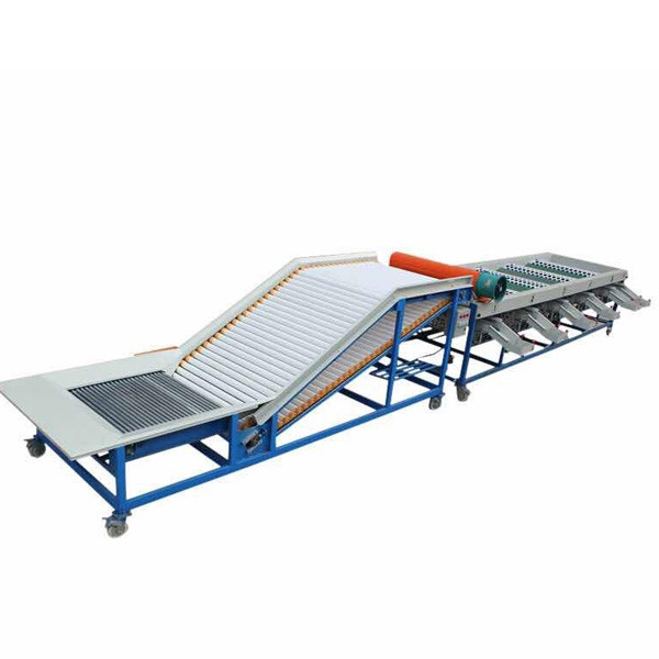 Quality Winter Jujube Dates Apple Fresh Fruit Grading Machine Classifier for sale