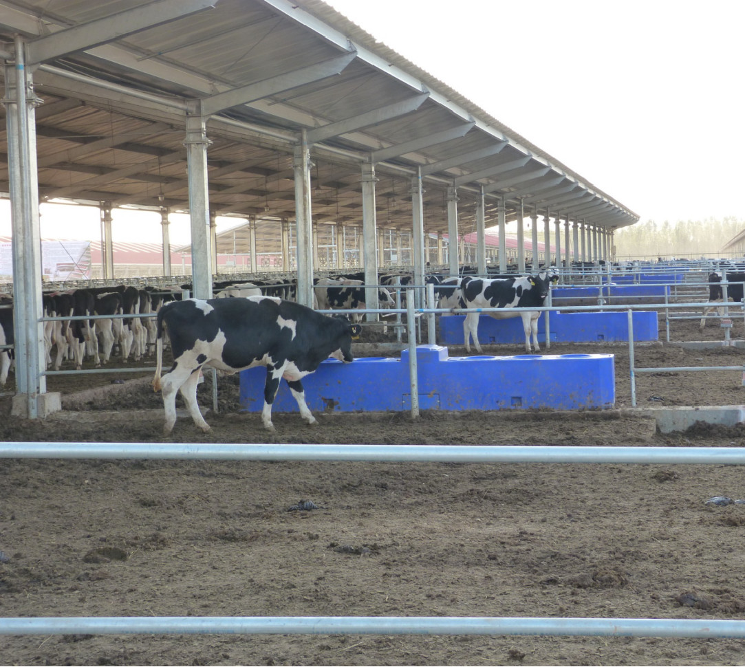 ISO9001 LLDPE L4000mm 220L Livestock Water Tank