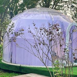 China Outdoor Clamping Cheap Geodesic Dome House Yoga Dome Tent Sporting Event Dome House wholesale
