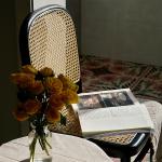 H85cm Natural Bentwood Chair / Vintage Bentwood Dining Chairs Good Toughness