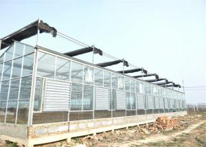 China Simple Construction Agricultural Glass Greenhouse Venlo Type Greenhouse For Vegetables wholesale