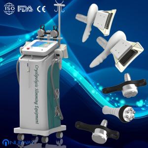 China cryolipolysis fat loss machine for fat loss weight loss clinic wholesale