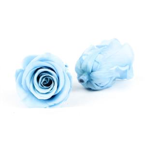 China 6pcs Long Lasting Diameter 5-6cm Preserved Flower Heads wholesale