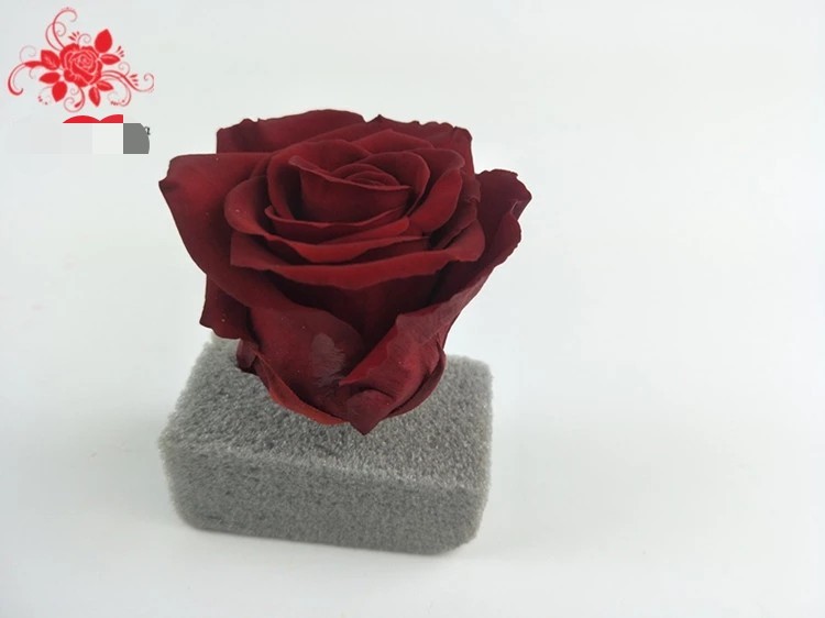 Wholesale Preserved Fresh Dried Flowers Dark Blue Roses for Arrangement
