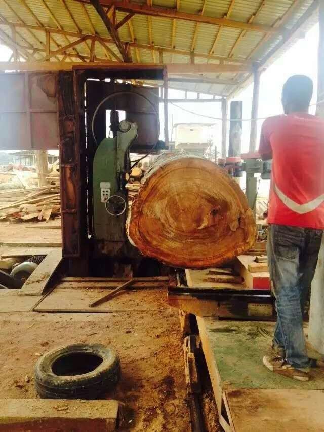 Vertical band sawmill with CNC carriage automatic wood cutting machine