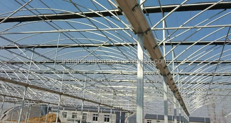 Namibia Africa Gutter Connected Greenhouse with Optimal Ventilation and Single Layer
