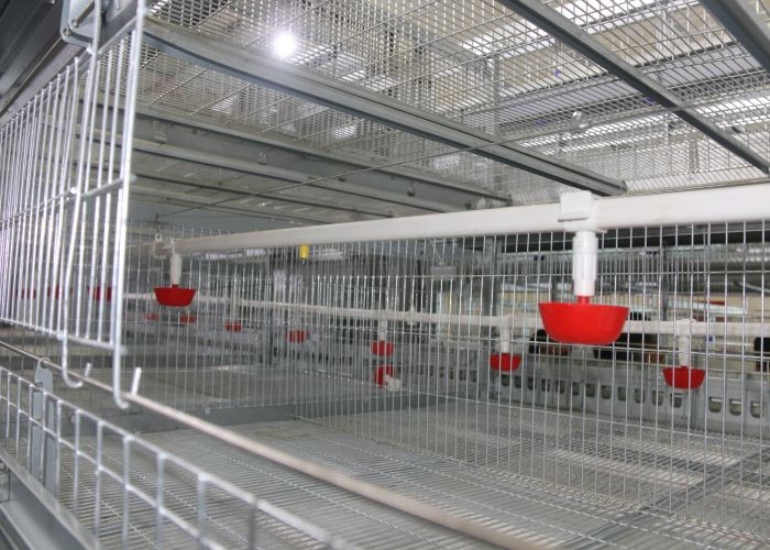 Reliable Layer Farming Equipment Intelligent Environmental Control System