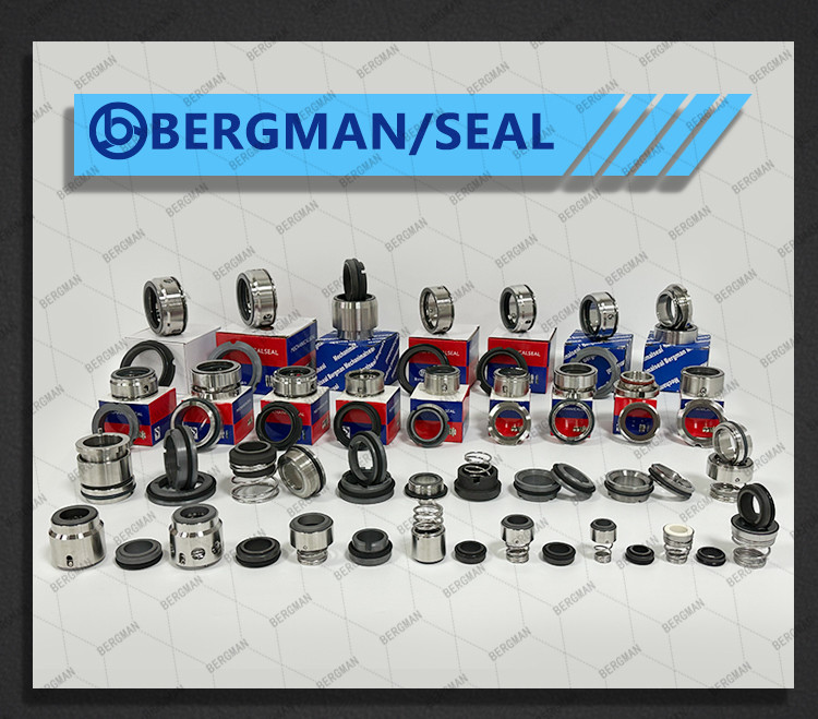 Bergman OEM W01 W02 W03 Rotor Pump Sanitary Pumps Food Pumps Seals Mechanical Seal