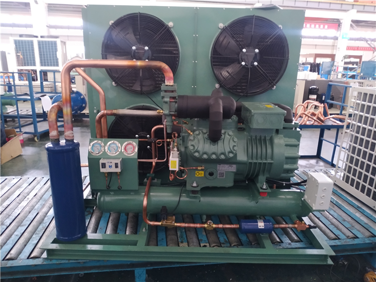 Frost Temp Monoblock Cold Room Condensing Unit Cooling System For Cold Storage