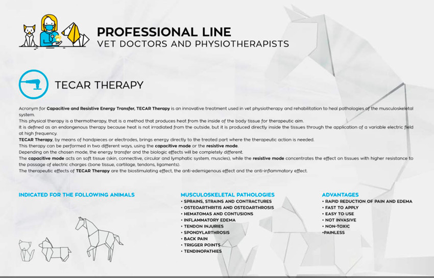 Portable Veterinary Physiotherapy Tecar Therapy Machine For Pet Horse Dogs Cats Pain Relief