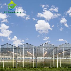 China 12m High Venlo Roof Agricultural Glass Greenhouse Hot Dip Galvanized Steel Greenhouse wholesale