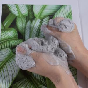 China Deep Pore Charcoal Foaming Facial Cleanser For Dirt And Makeup Removal wholesale