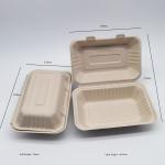 900ml Eco Friendly Disposable Bento Box