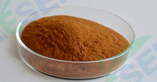 Plant medicine extracts cynara scolymus extract/artichoke leaf extract 5%