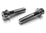 Corrosion Resistant DIN 931 Stainless Steel Flange Head 8.8 Grade Bolt