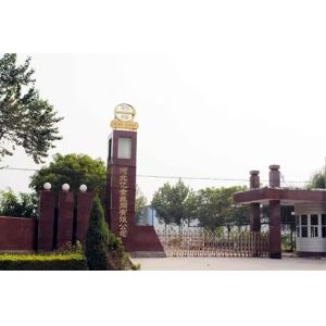 Hebei Reking Wire Mesh Co.,Ltd