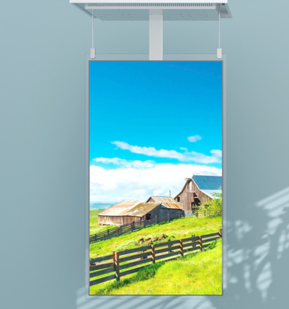 32/55 Inch 1080p Android OLED Digital Signage