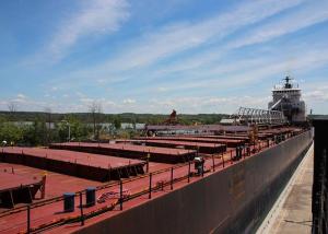 China 40FT 40HQ FCL Oceania Freight , Ocean Freight From China To USA wholesale