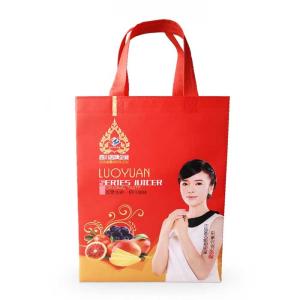 China Printed Polypropylene Promotional Non Woven Shopping Bags Foldable Reusable wholesale
