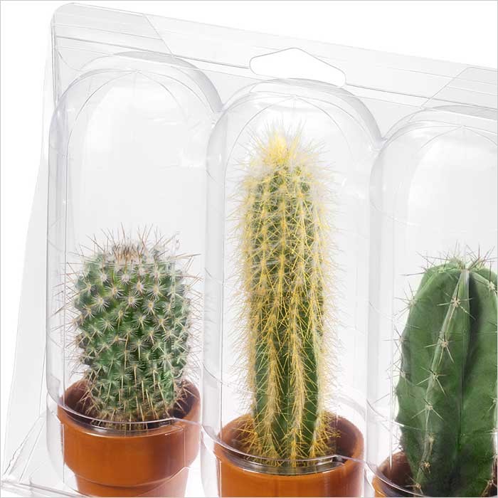 Clear PLA Sheet Roll Transparent Biodegradable Plastic Film Roll For Flower Packing