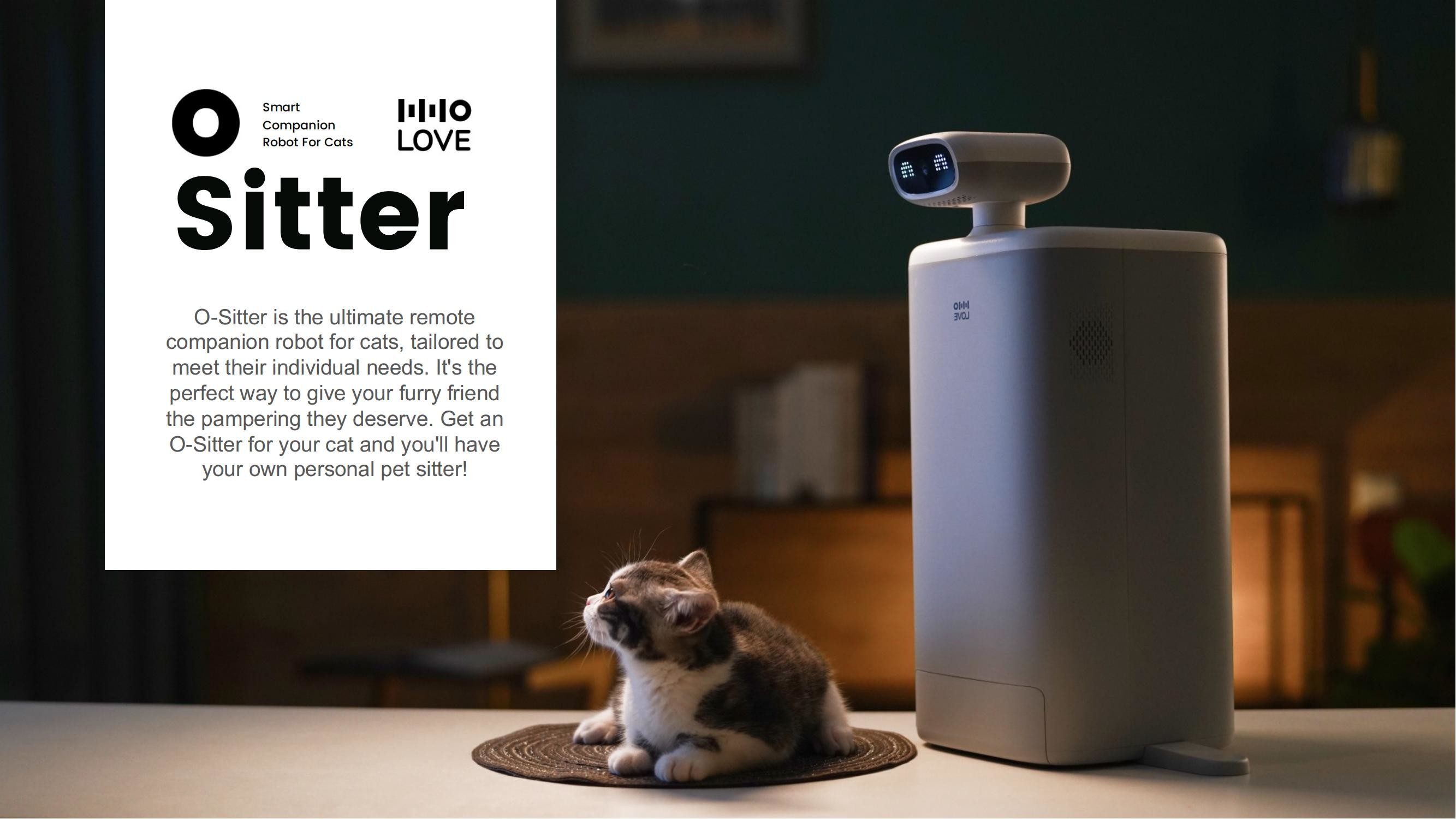 Smart Companion Pet Cat Robot With 2.5L Feeder / 4X Digital Zoom Camera