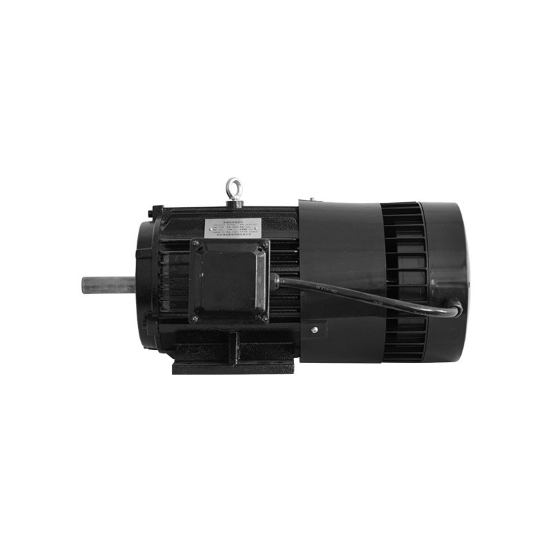 200Hz 380V Magnet Driven Motor Pmsm Motor Installation Mode B3