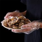 Durable Thin Water Proof polyethylene Disposable Cleaning Gloves