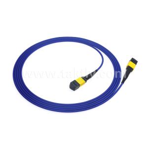 China Data Center FTTX Fiber Optic Cable MPO Patch Cord MTP Trunk Cable Armored SM MM Jumper wholesale