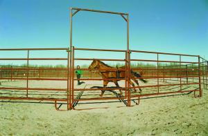 China Galvanized Steel Metal Farm Gate Powder Coated Livestock Horse Corral Fencing wholesale