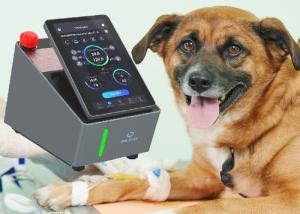 China 10min Veterinary Laser Therapy Machine 915nm Equine Laser Therapy Equipment wholesale