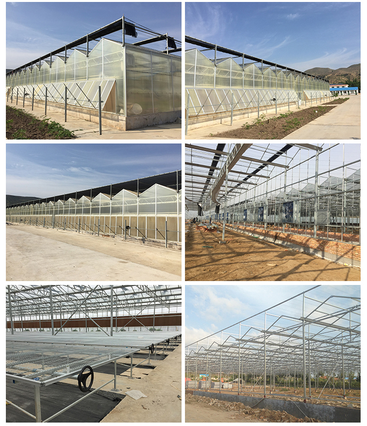 High Yield Hydroponic Greenhouse for Tomatoes Vegetables and Flowers in Any Season