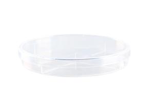 China Laboratory Services 150x15mm Large Petri Dishes Culturing Cells Disposability wholesale