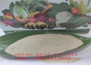 China Free Amino Acid 80% Hydrolysed Soy Protein With REACH Registration wholesale