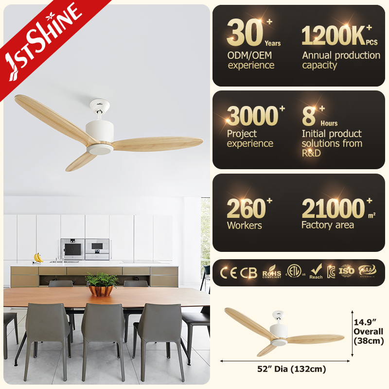 ceiling fan