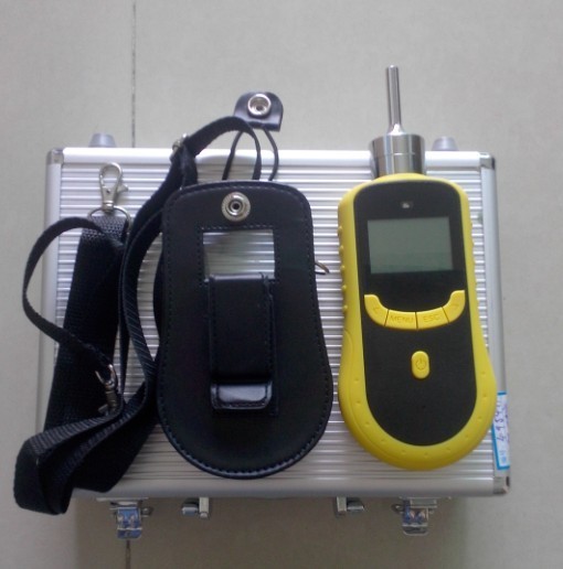 Sound / Light Alarm O2 Gas Detector Portable Pumping With Data Logging Function