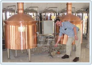 China Industrial Fermentation Tank Small Beer Brewery Equipment Red Copper Material wholesale