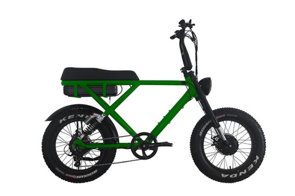 ( OEM Factory ) Shimano 7 Speed Fat Tyre Electric Bikes Dual High Power 2000W
