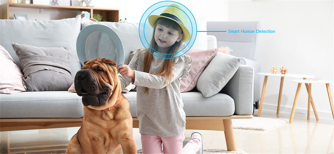Smart Indoor P/T Camera Patent Deisgn(TV-238ZD-2MP)