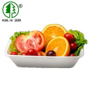 China Rectangular Thanksgiving Biodegradable Food Trays Disposable Fruit Container For Supermarket wholesale