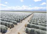 HDPE Plastic Anti-Bee Net, Bee Netting