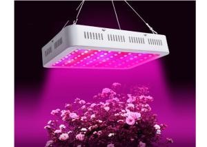 China Greenhouse LED Grow Lights Durable Iron Housing Tempered Glass Cover wholesale