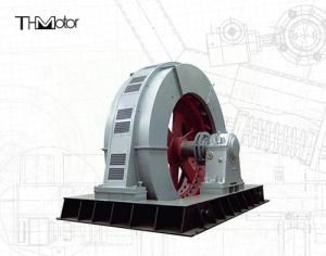 China TXZ Large Scale Mining Mill 3ph AC Brushless Synchronous Motor 11kv on sale