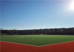 Natural Looking Hockey Artificial Turf , Hockey Artificial Grass Carpets