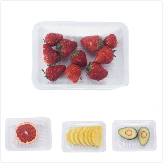 IP65 Fruit Vegetable Packing Machine Plastic Trays Minipack Vacuum Sealer