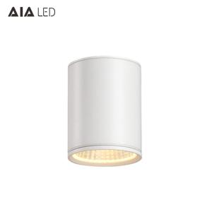 China IP65 waterproof modern rounded DALI downlight 36W 0-10V dimmable exterior led down light &amp;outside downlight wholesale