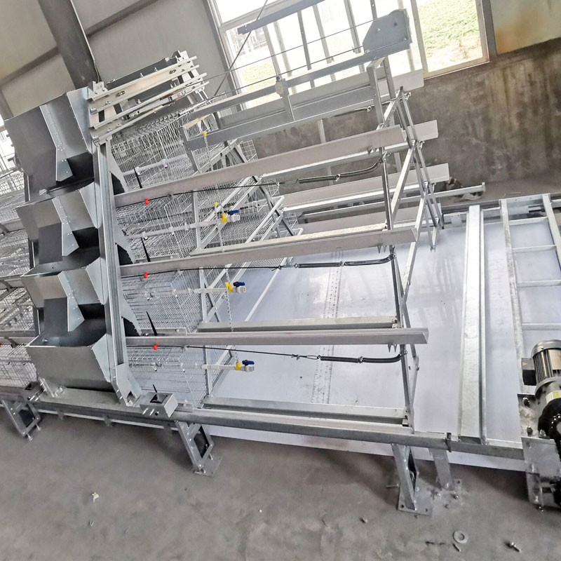 Galvanized Steel Broiler Baby Chick Cage Material Feeding